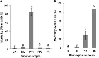 Impacts of high temperature during early capped brood on pupal development and the size of appendages in adult workers Apis cerana